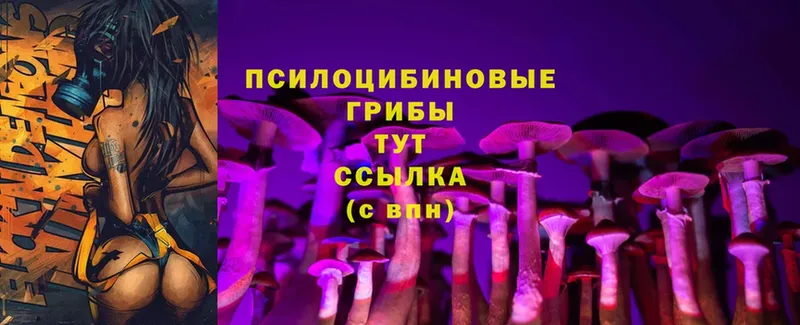 блэк спрут зеркало  Беслан  Псилоцибиновые грибы MAGIC MUSHROOMS 